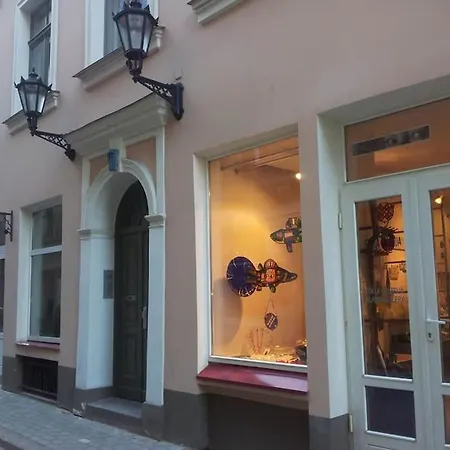 Mansard Studio In The Heart Of Old Town Apartament *